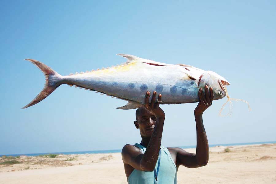 East coast fishing supply Clearance