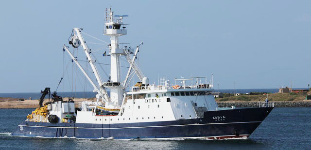 East coast fishing supply Clearance